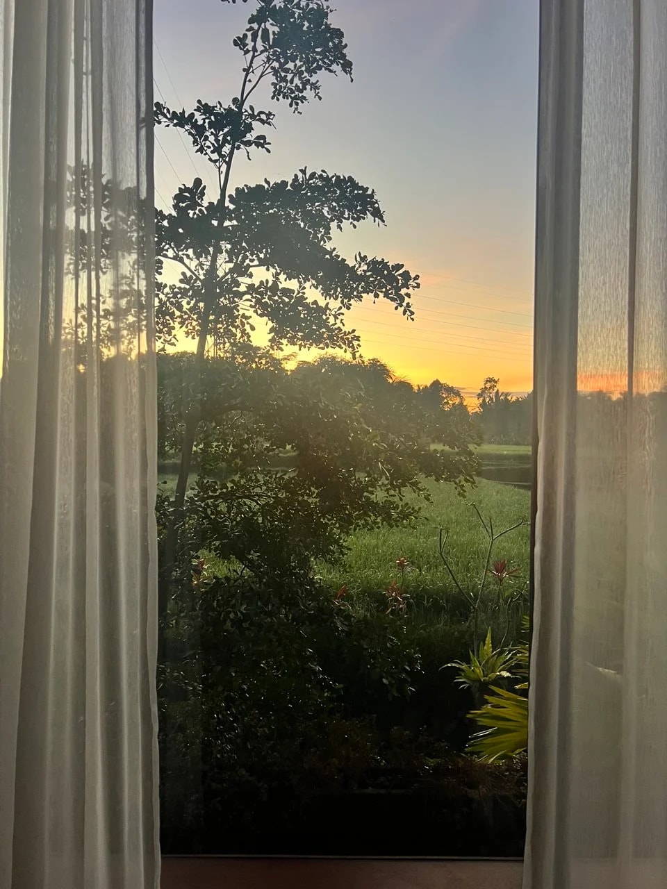 ElForest villas real estate project in Payangan, Ubud — 6