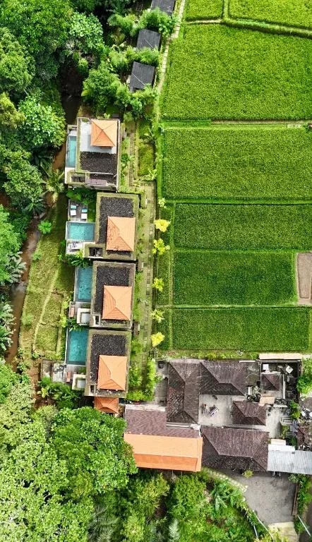 ElForest villas real estate project in Payangan, Ubud