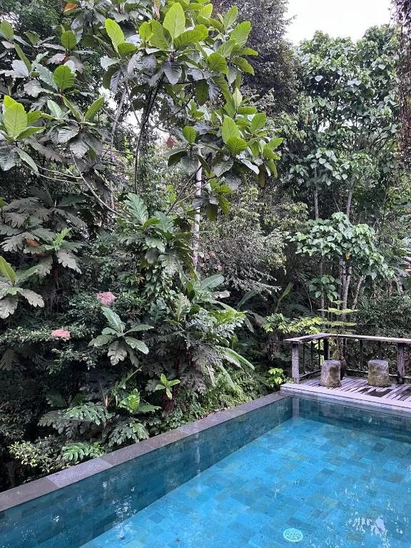 ElForest villas 2 bedroom villa with rooftop gallery image 16